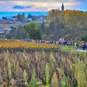The Beaujolais Wine Marathon is a fun celebration of French scenery, cuisine, wine and culture © Morgan Bove