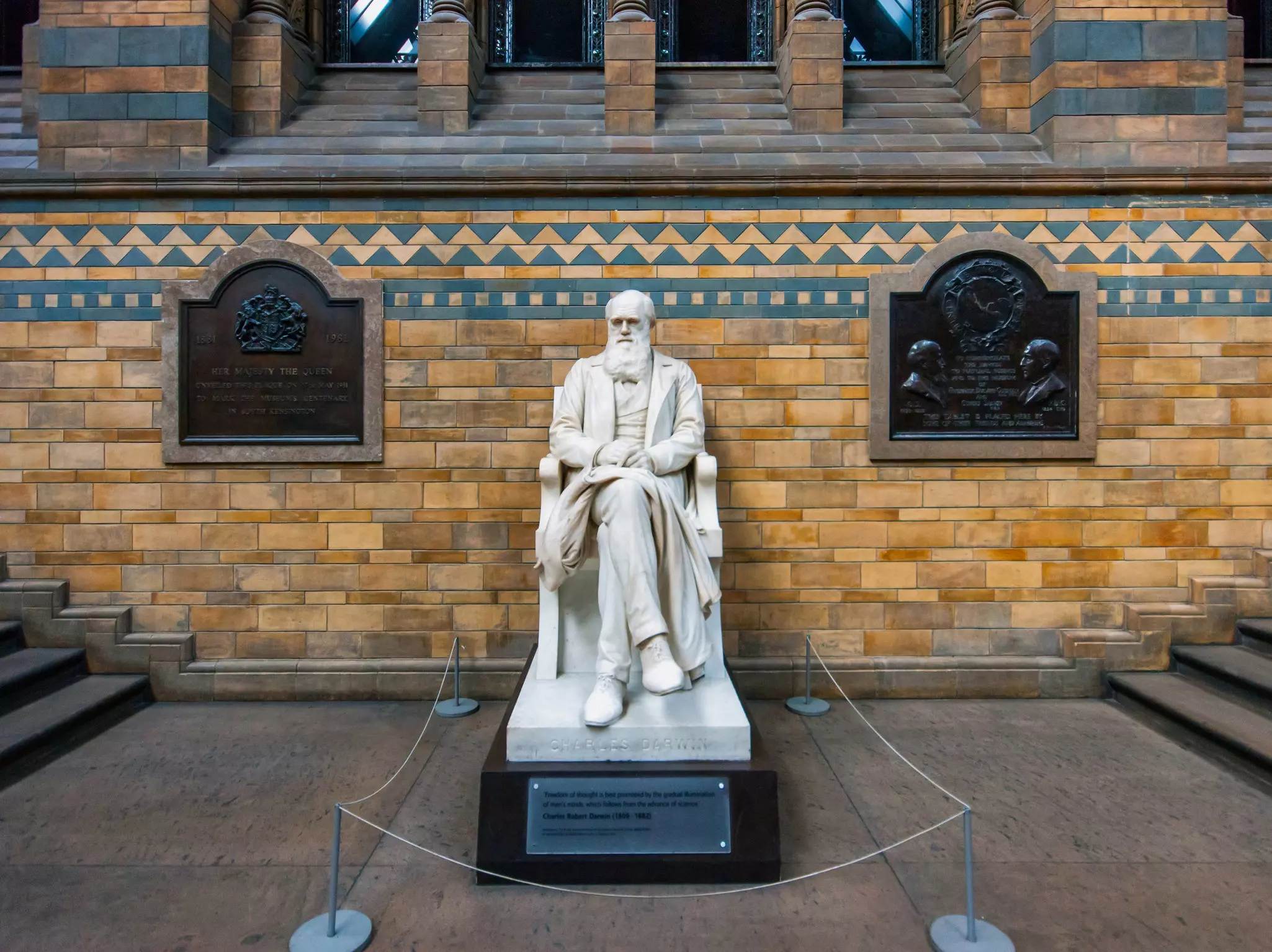 Marble statue of a seated Charles Darwin in the Hintze Hall of the Natural History Museum.