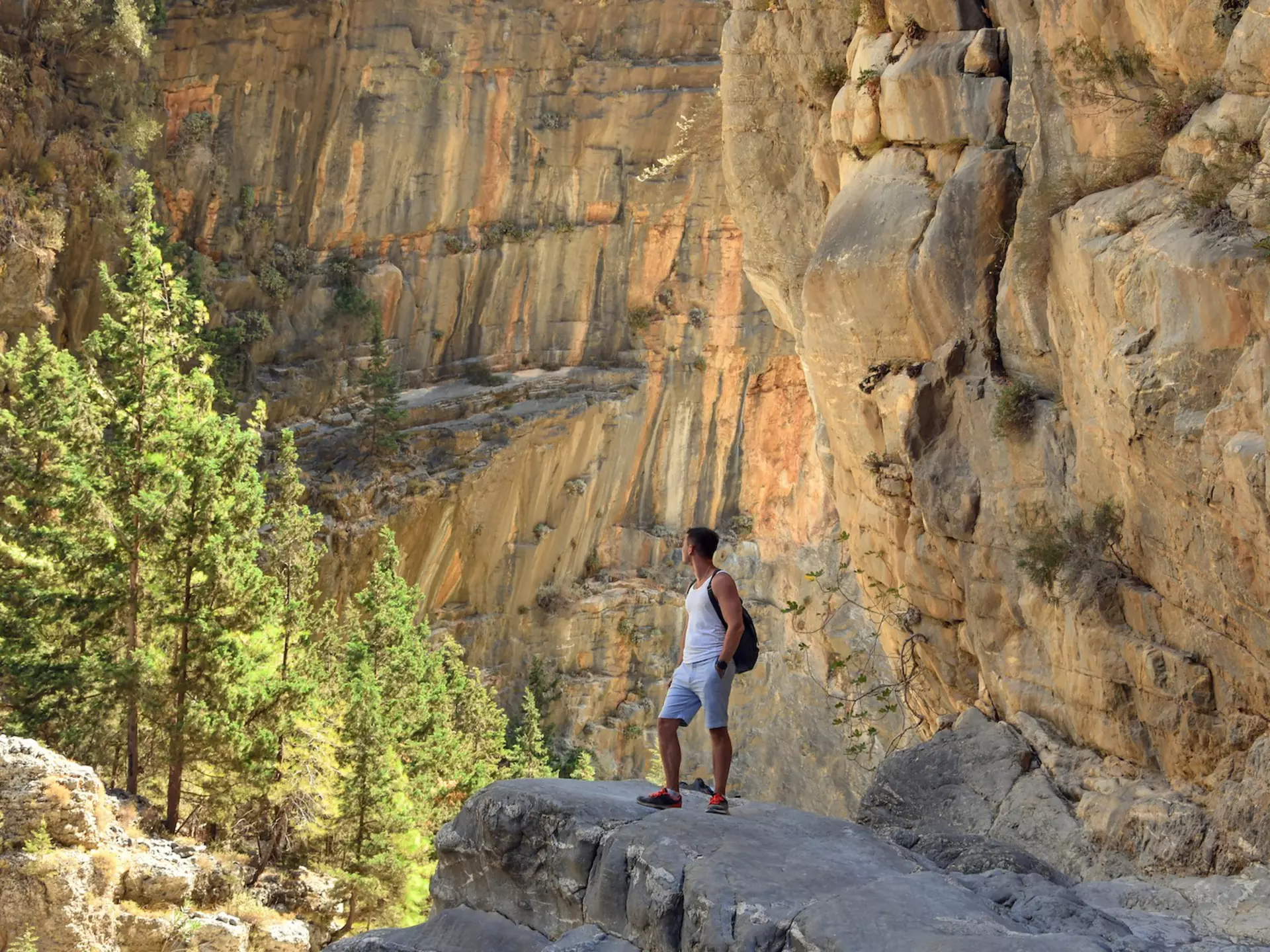Young male hiker stands on a rock, Samaria Gorge, Crete, Greece
