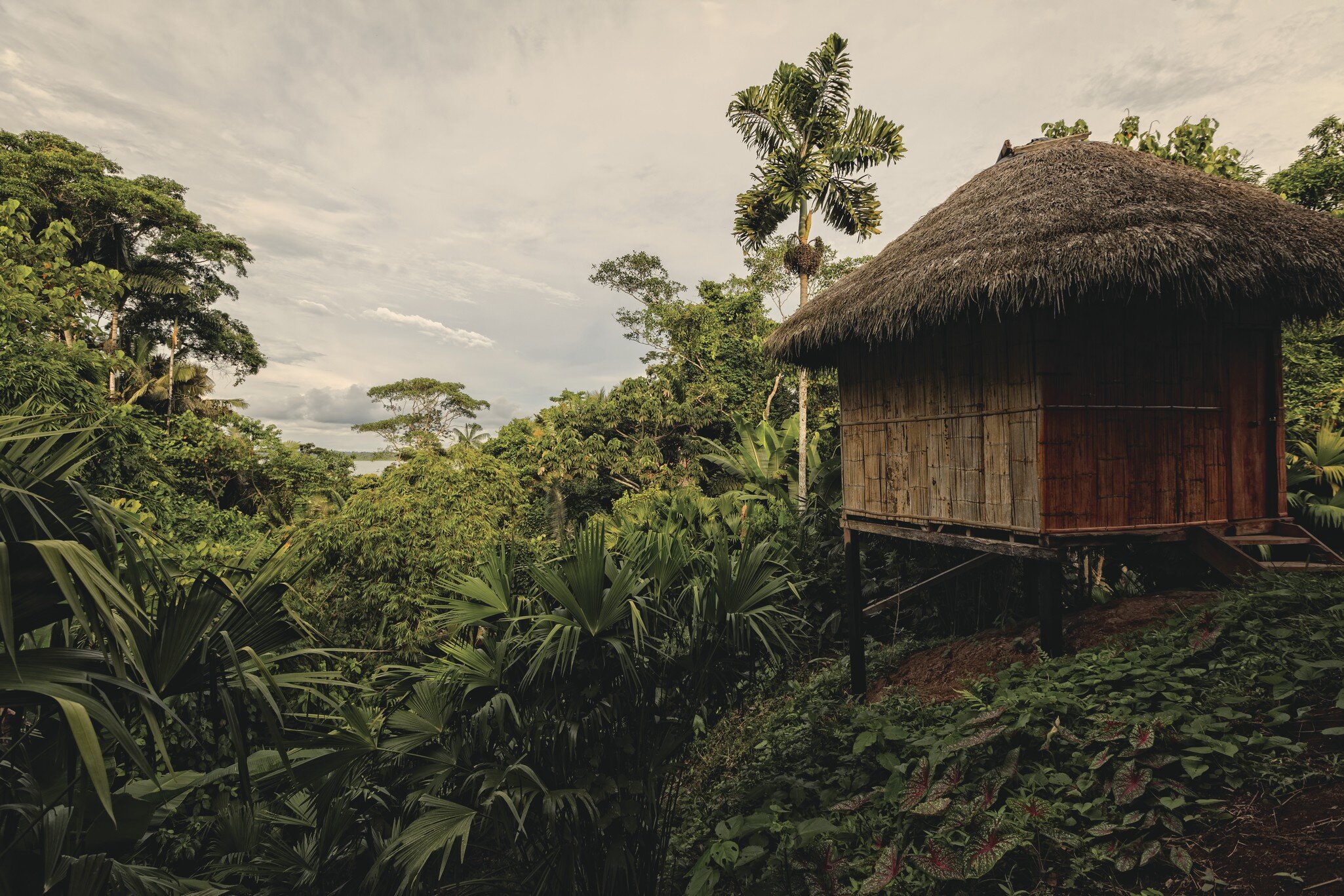 amazonian lodge
