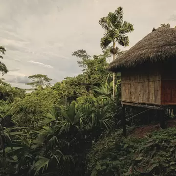 amazonian lodge