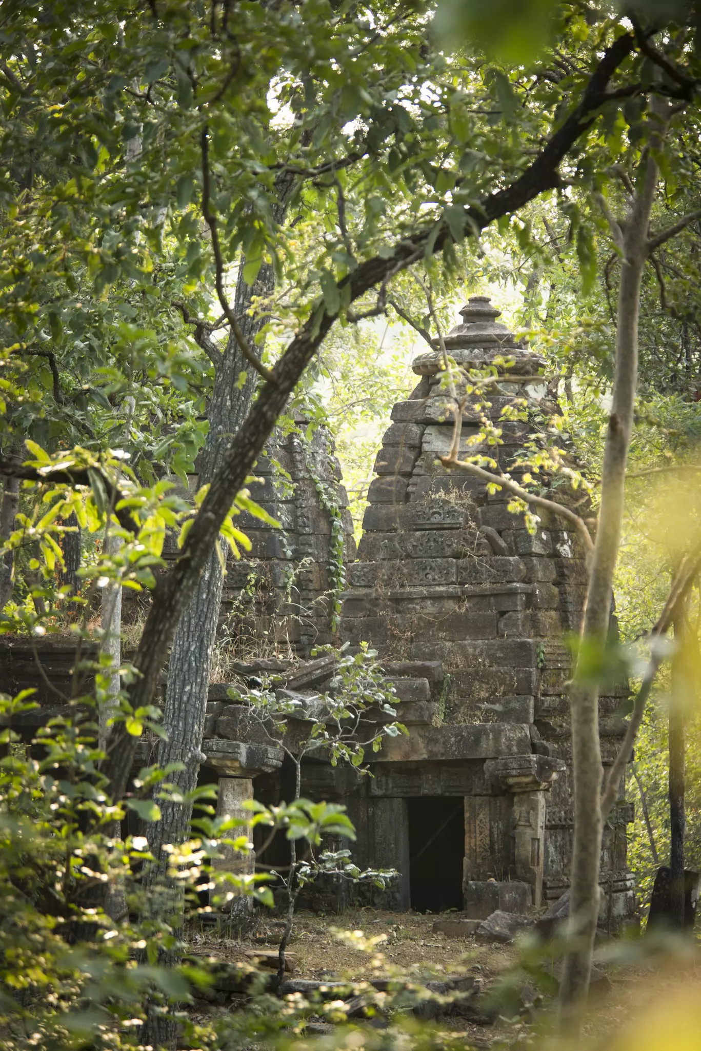 A small ancient stone temple being reclaimed by jungle.