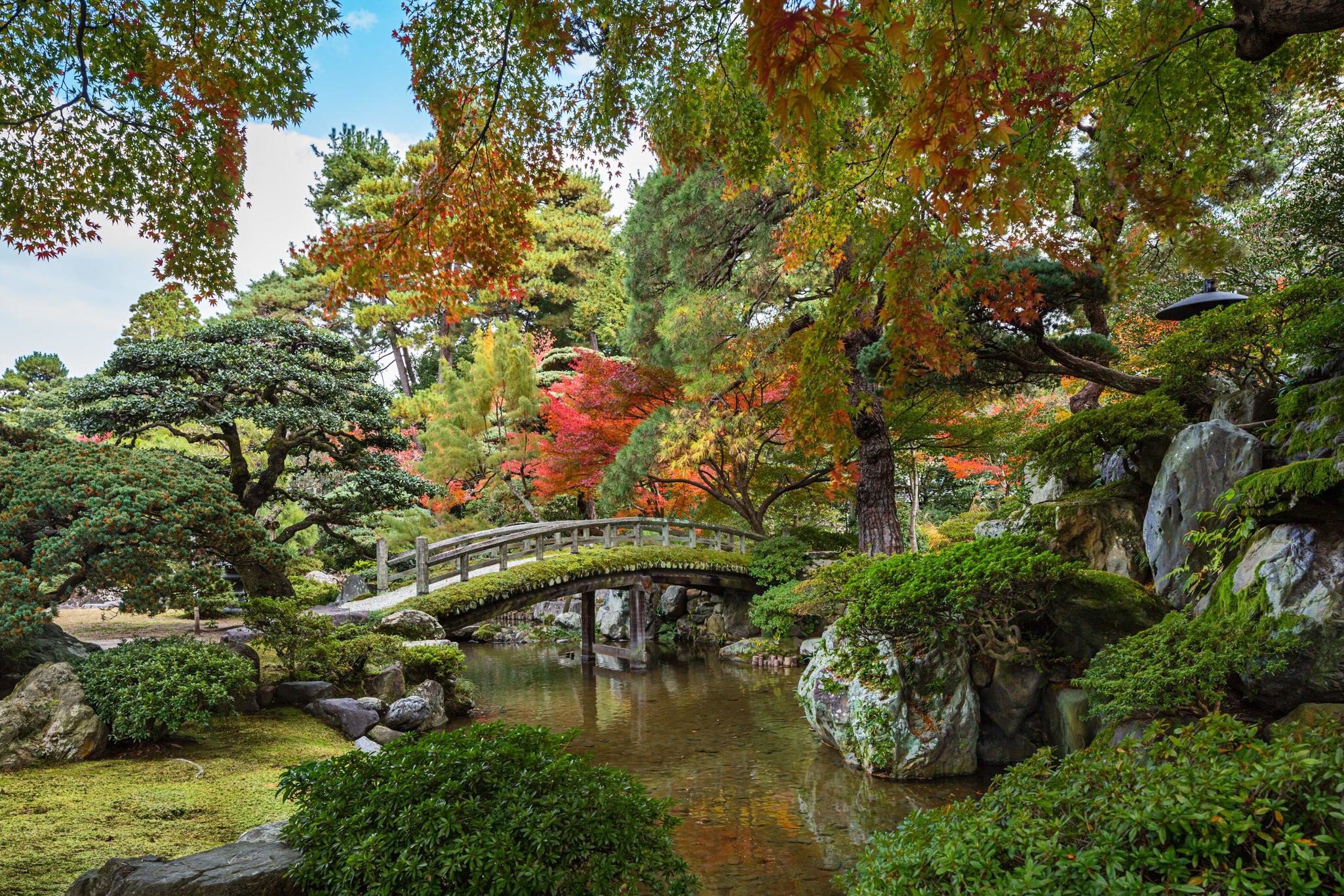 2ATJB76 Beautiful gaden at the Imperial Palace in Kyoto, Japan.
2ATJB76
Imperial, Palace, Landscape, countryside, Peaceful, Picturesque, Beautiful, fall, Autumn, colourful, Tourist, attraction, garden, japan, travel, Park, Colour, color, vibrant, tree, forest, woods, maple, Autumn, colours, tourism
** RIGHTS MANAGED ** downloaded for use on the LP app . Beautiful garden at the Imperial Palace in Kyoto, Japan