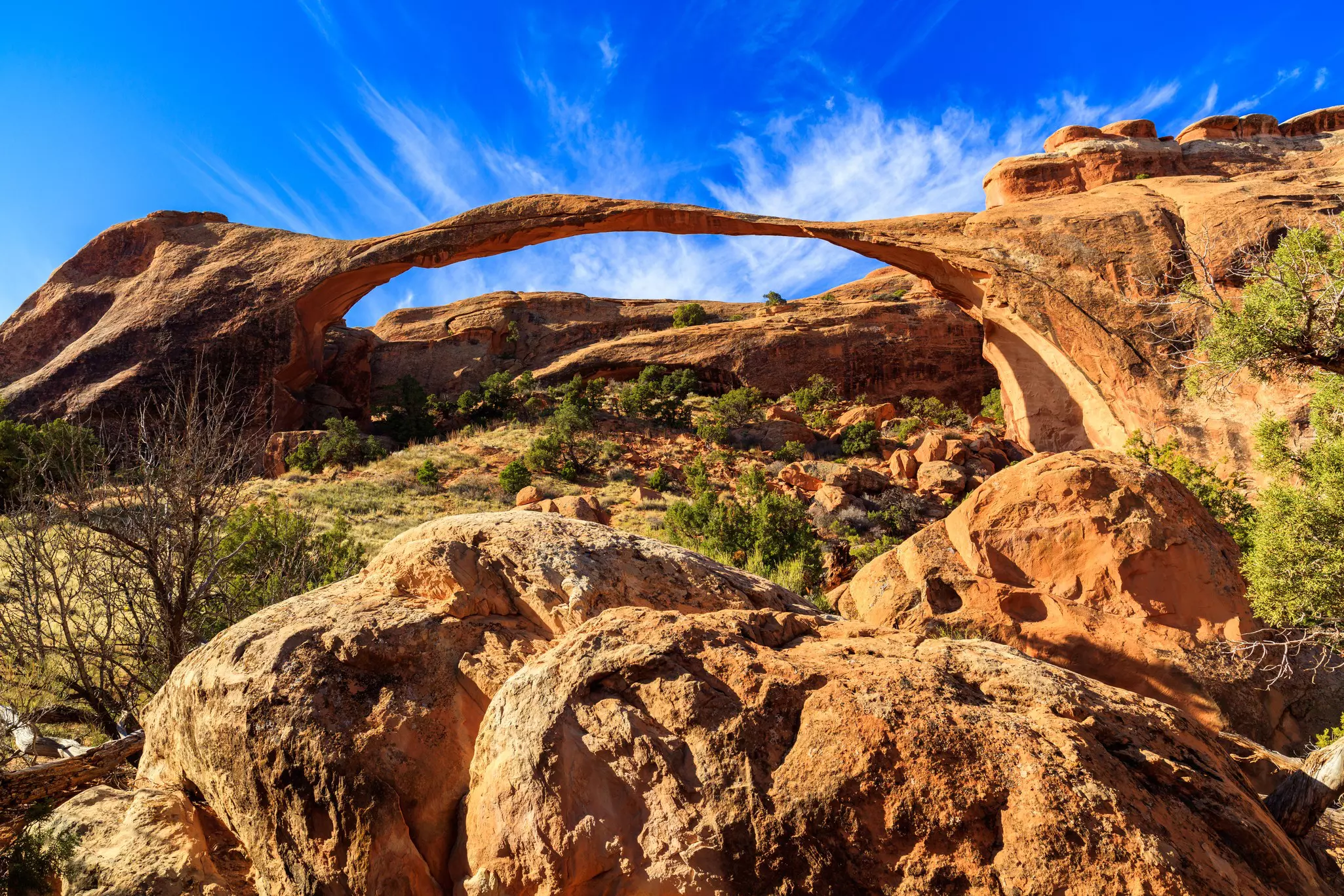 An arch in a national park with shrubs