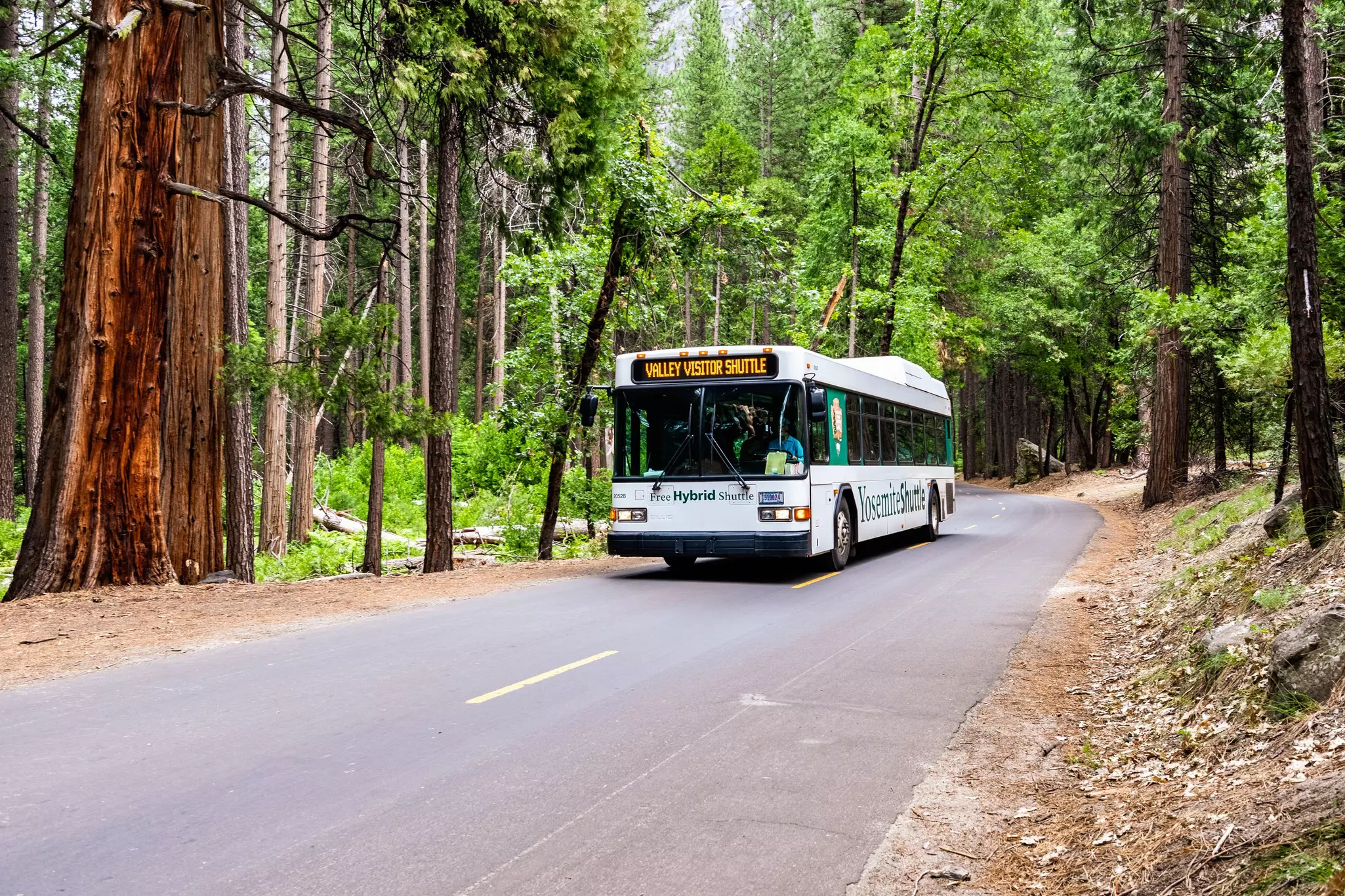 Yosemite Valley shuttle
