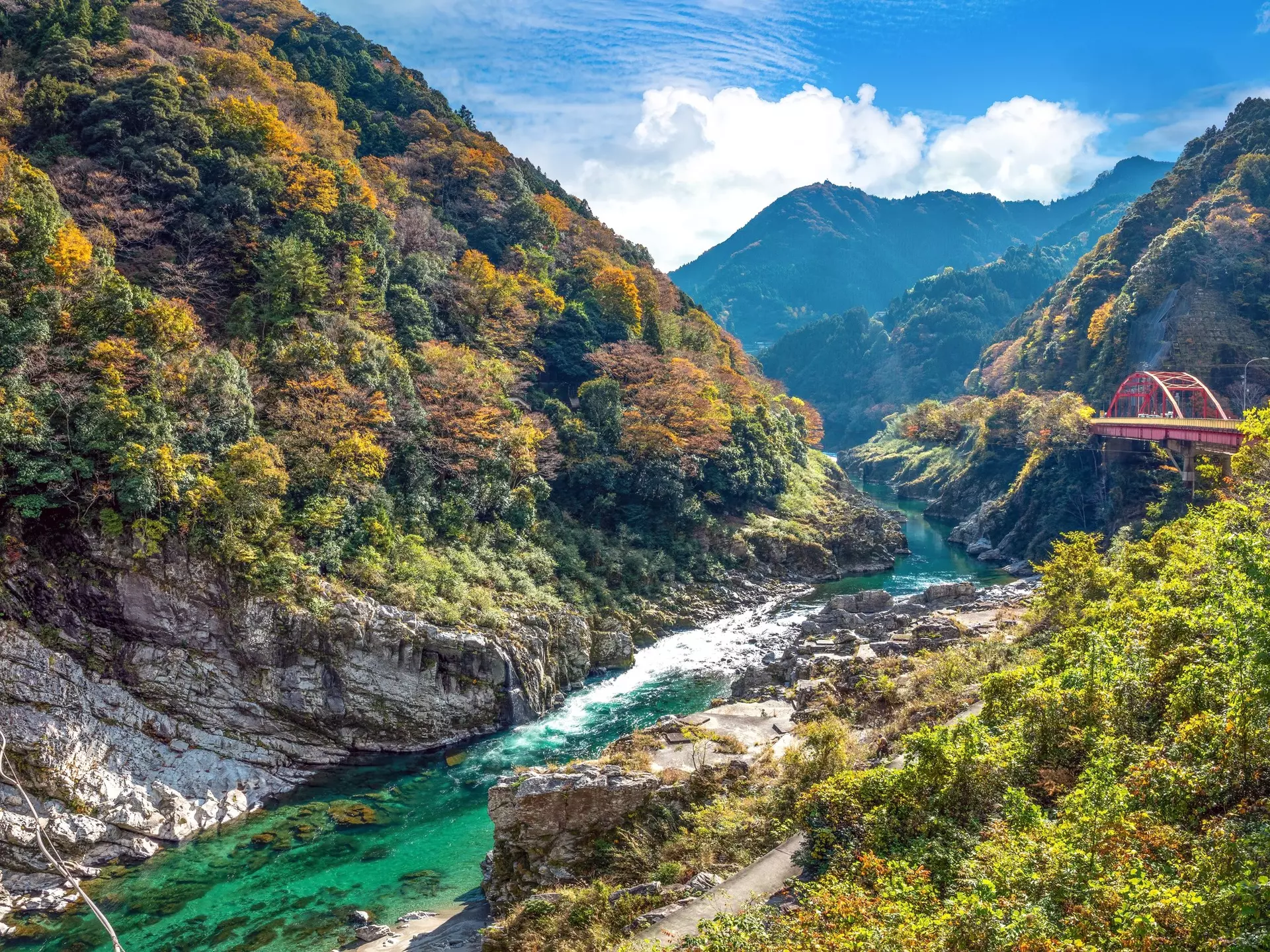 Mountain scenery on the island of Shikoku in Japan. LouieLea/Shutterstock