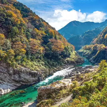 Mountain scenery on the island of Shikoku in Japan. LouieLea/Shutterstock
