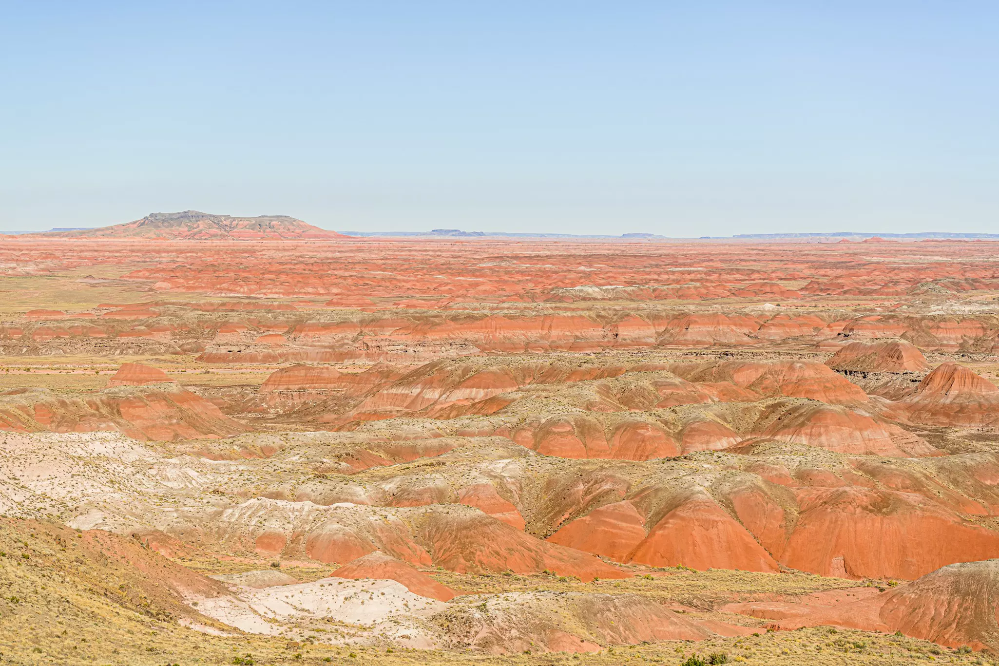Wide shot of painted desert vista, with red sand hills throughout the image and a higher mountain in the distance.