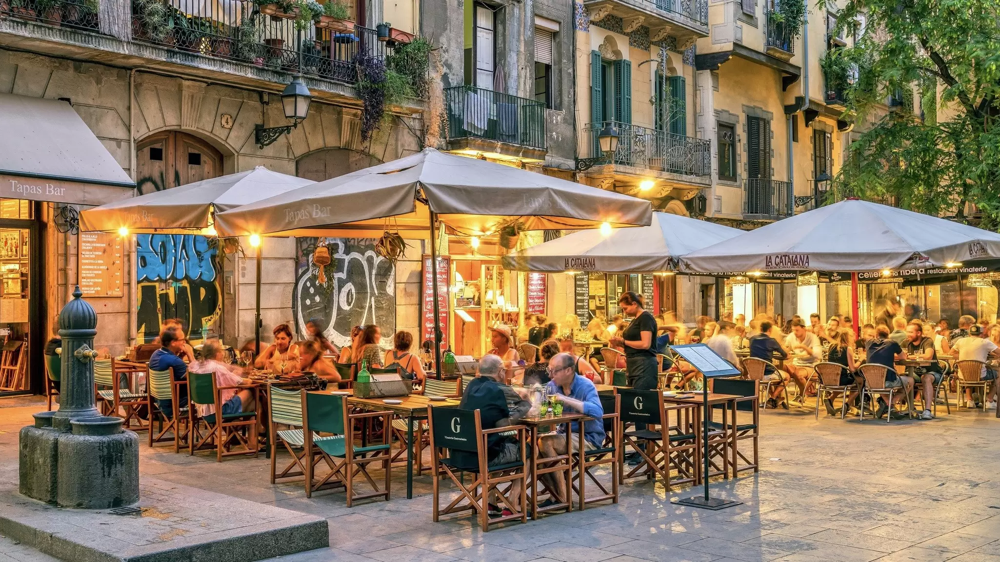 shutterstock_2395767285-cropped.jpg