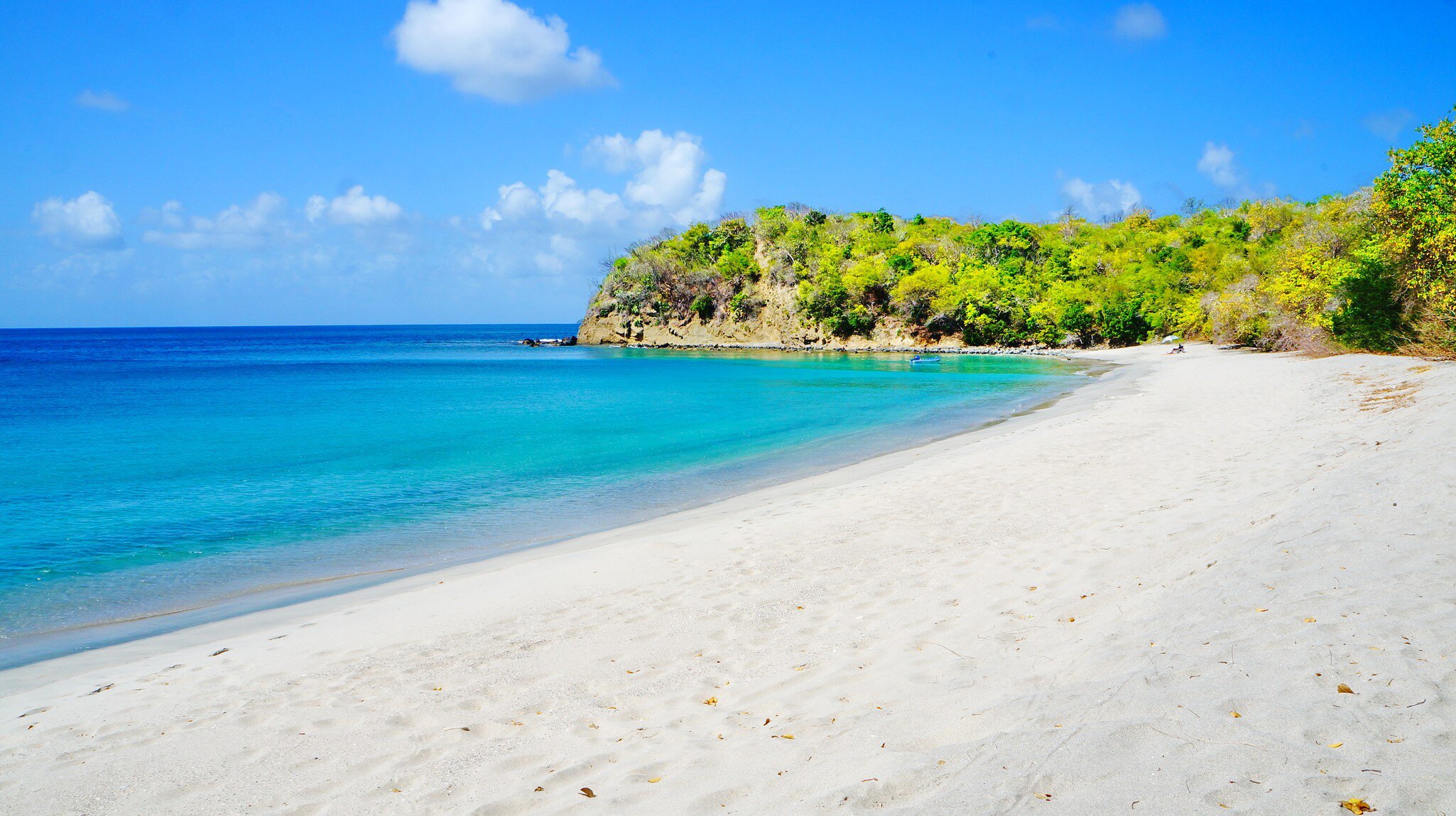 An empty white-sand cove curving to a wooded headland, with clear blue water shading to turquoise in the shallows.