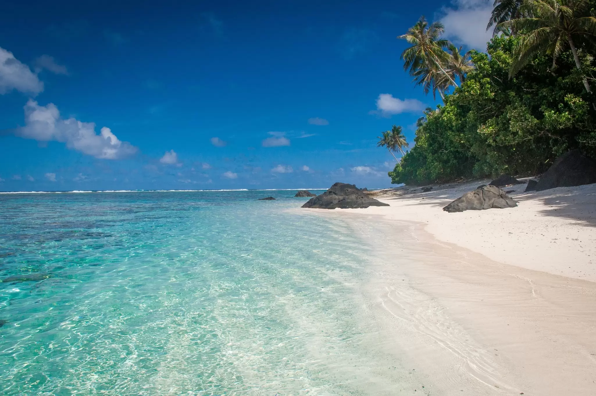 Clear waters lapping a white-sand beach lined with palm trees and bushes.