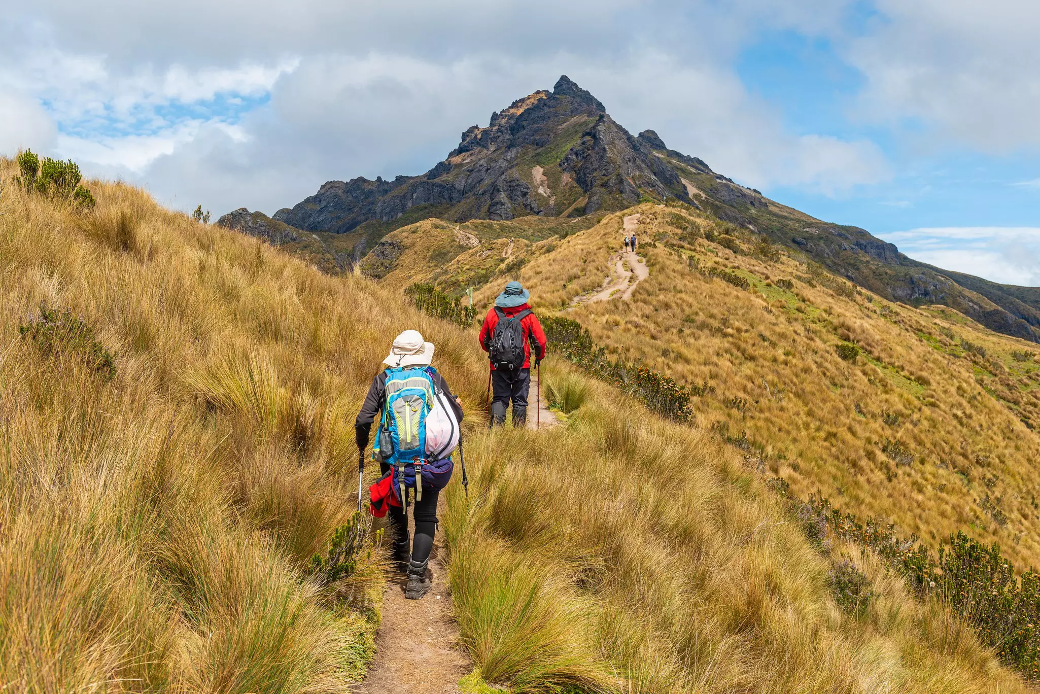 Two people with walking poles, backpacks and large hats walk a dirt trail on a grassy volcano