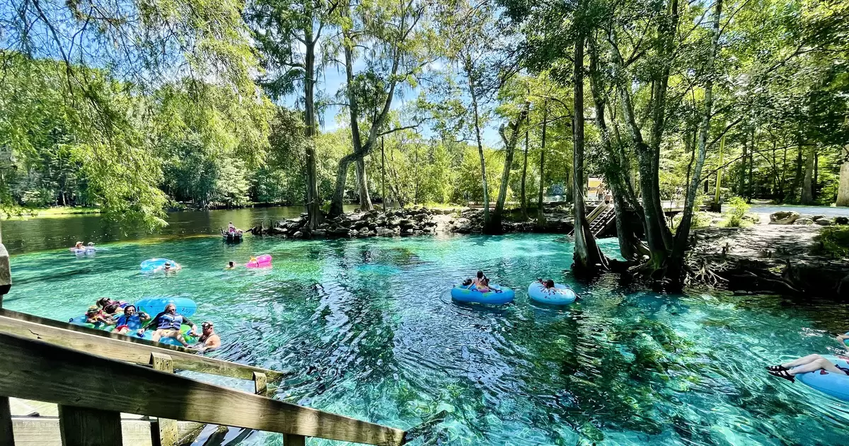 The 7 best springs in Florida - Lonely Planet