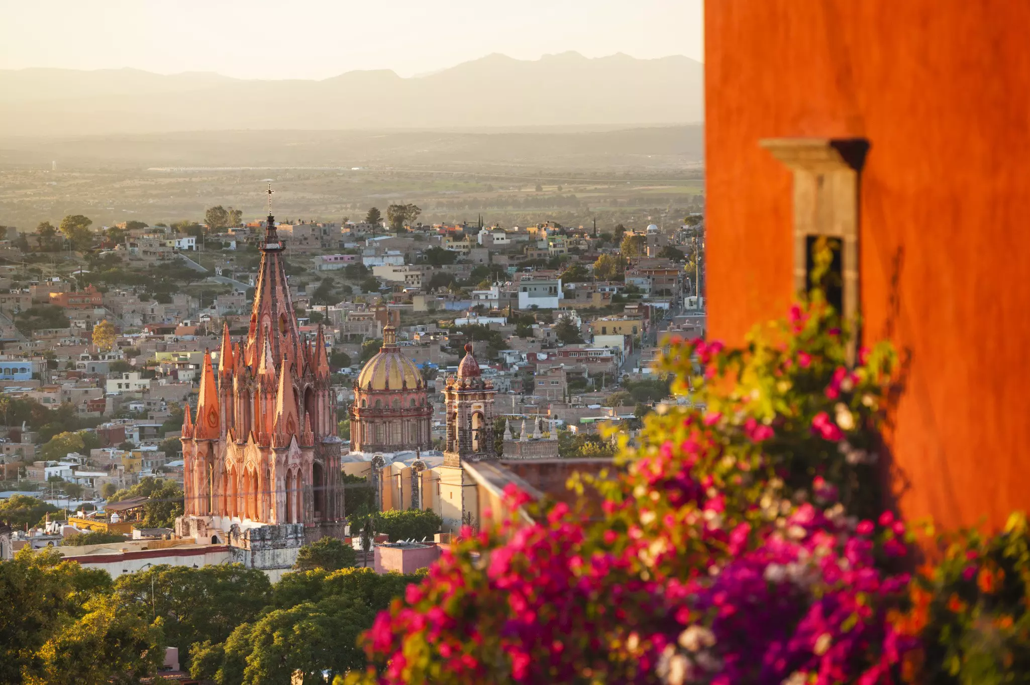 A church and flowers in bloom