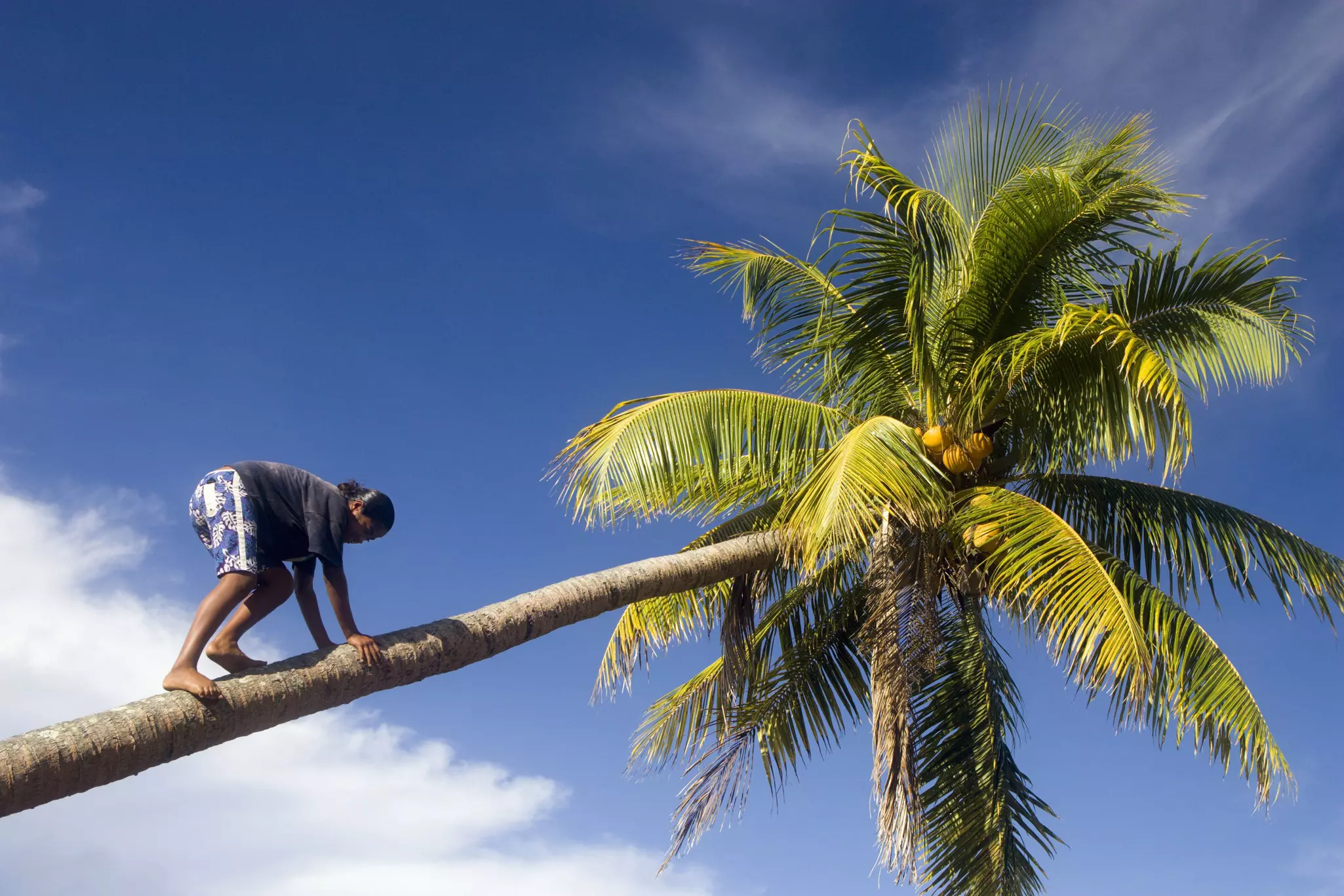 From tree climbing to riding a zip line, there are many great things to do in Fiji for older children © Michele Westmorland / Getty Images