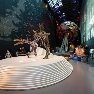 The Natural History Museum is one of London's top stops for families. Old Town Tourist/Shutterstock