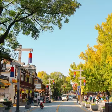 A paved street lined with bright yellow ginkgo trees, tiled-roof shops and posts with red and blue lanterns, people walking.