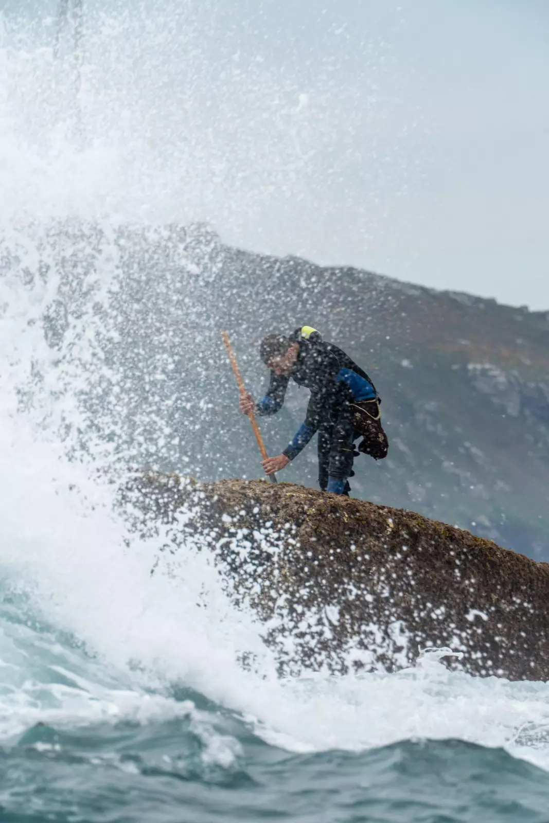 Harvesting percebes is a treacherous tradition.
