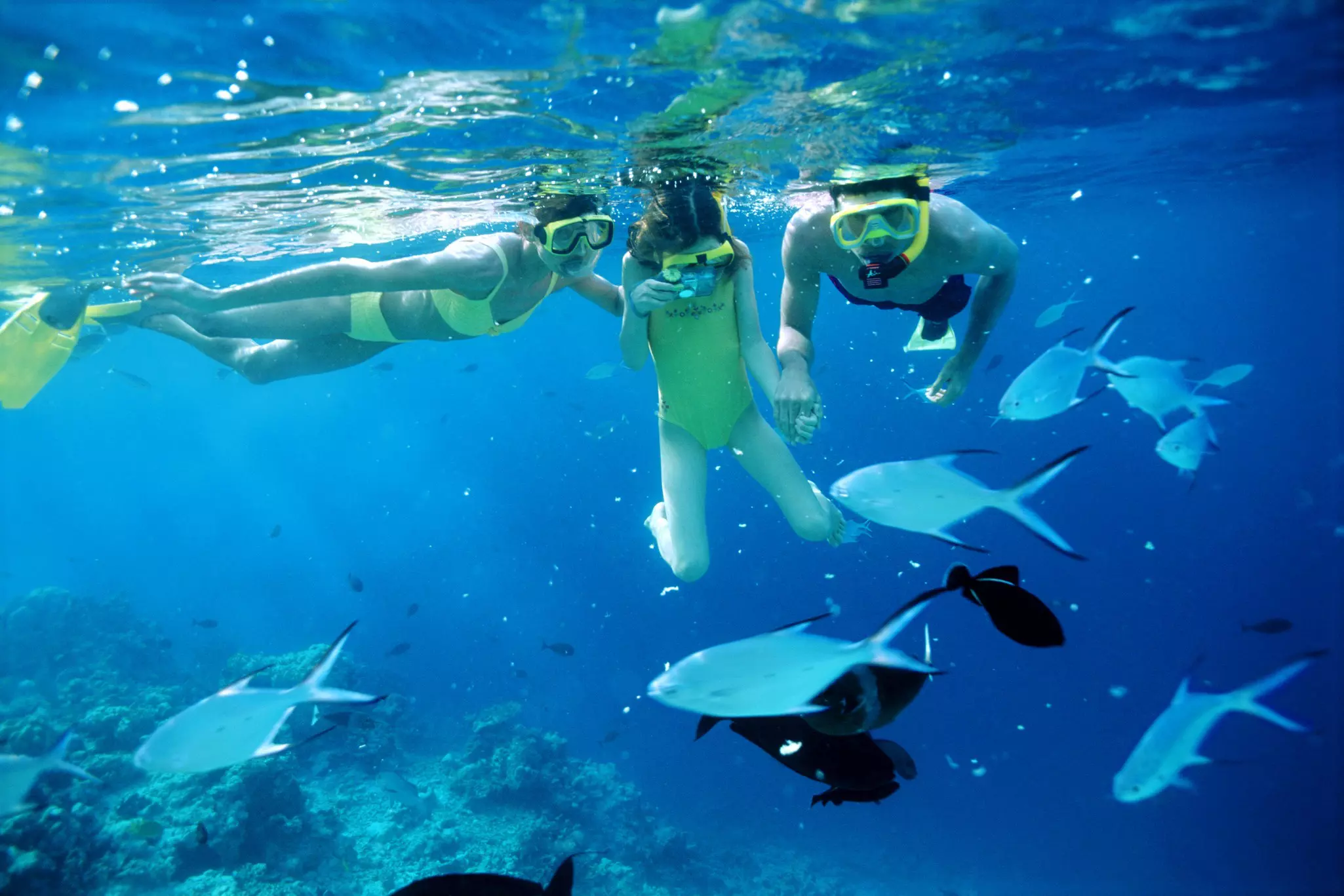 Older kids will be thrilled by the Maldives' amazing underwater world © Peter Cade / Getty Images