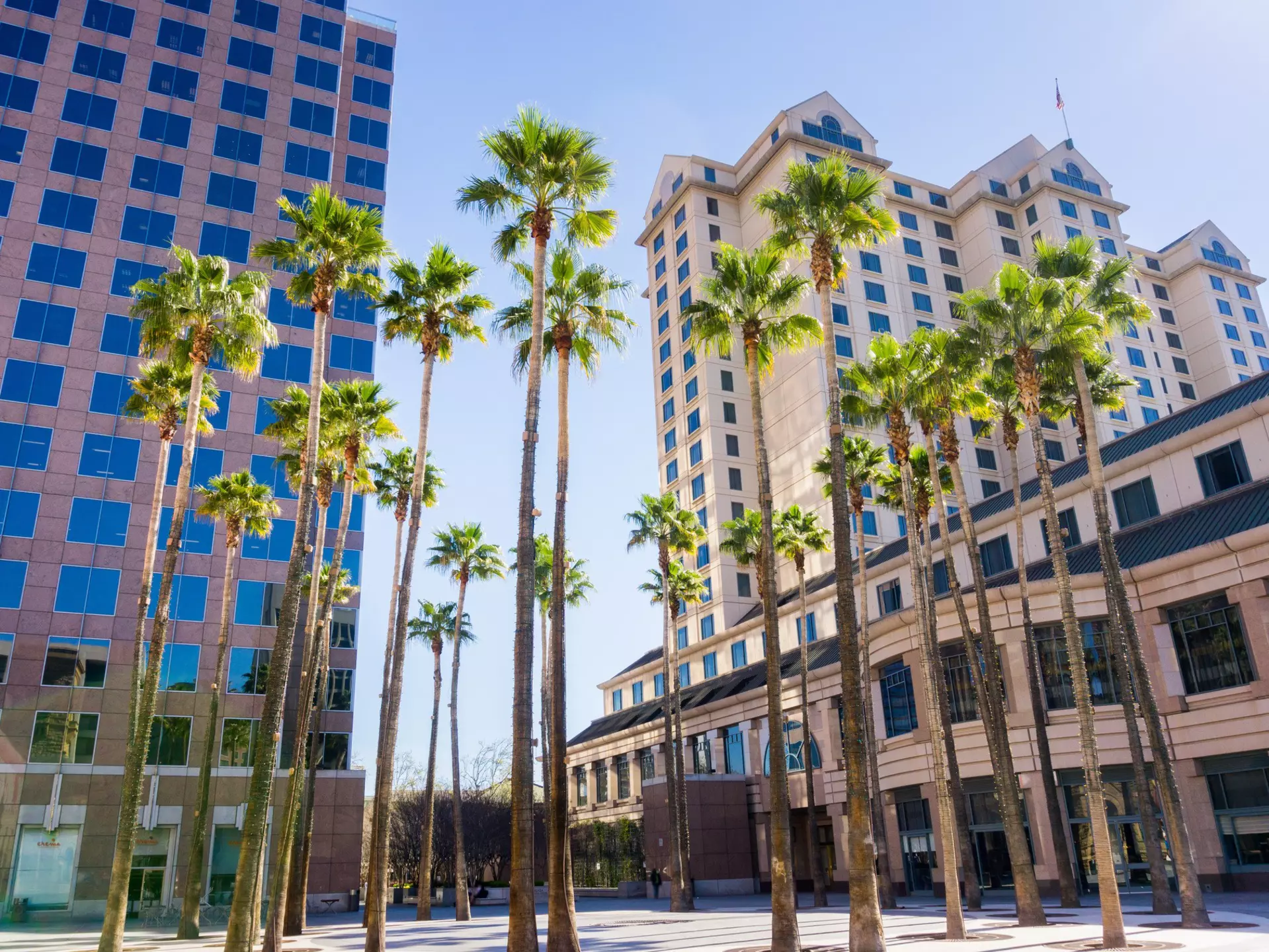 Urban landscape in downtown San Jose, Silicon Valley, California  License Type: media  Download Time: 2021-09-24T16:55:47.000Z  User: AMccarthy_lonelyplanet  Is Editorial: No  purchase_order:   
