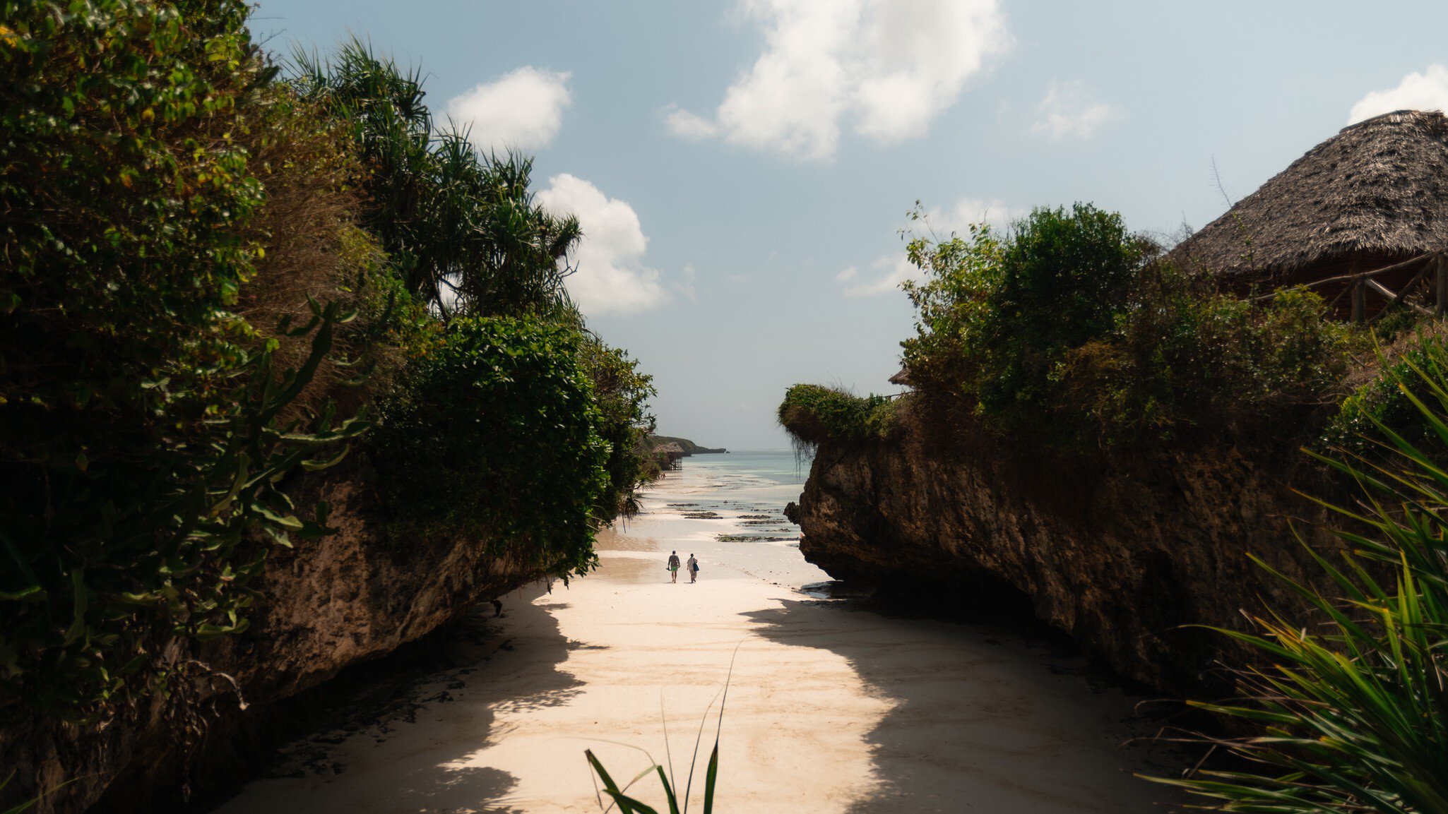 GettyImages-2211146675.jpg
Two tourists walking on a beautiful white sand beach surrounded by rocks and vegetation in zanzibar, tanzania
Tourists walking on a secluded beach in zanzibar, tanzania
