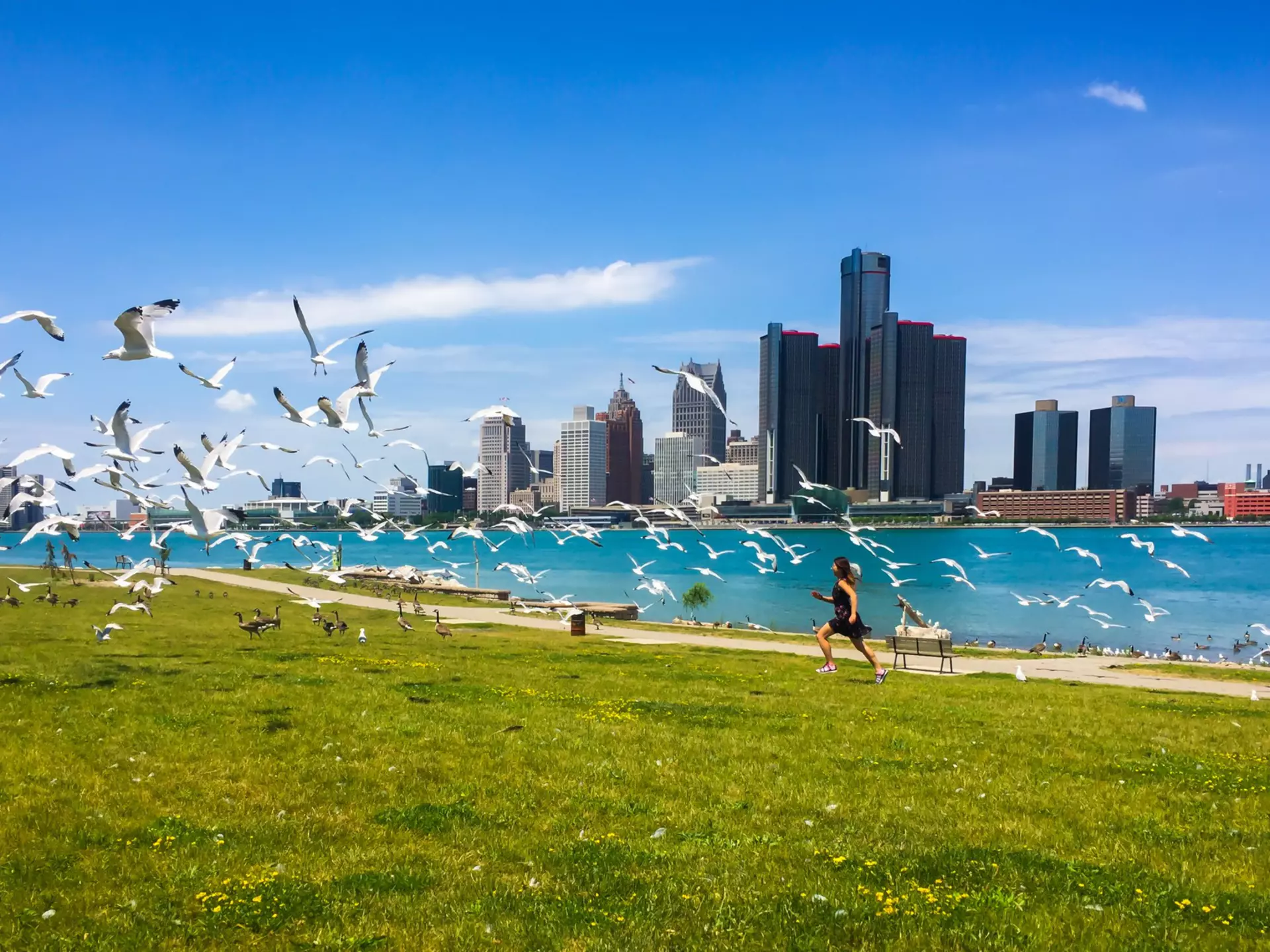 Plan your trip to Michigan with these top tips © Steven_Kriemadis / Getty Images