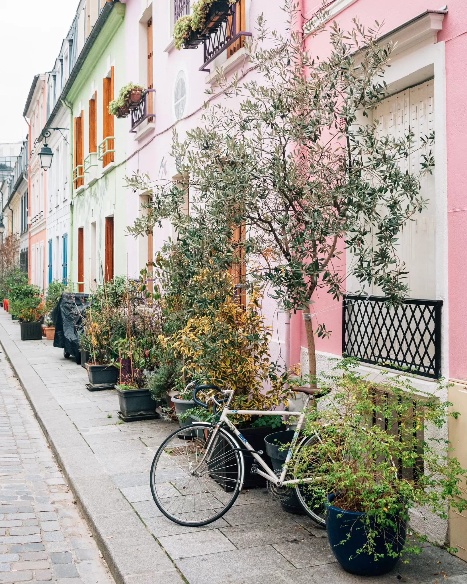 Colorful houses along Rue Cremieux in Paris, France