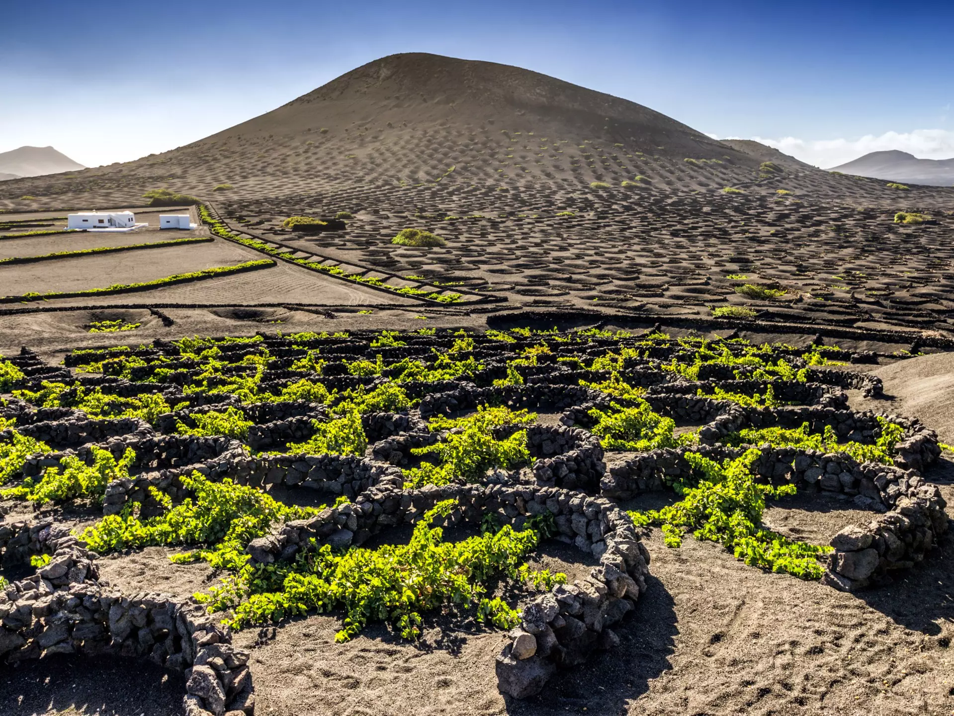 The vineyards of volcanic Lanzarote's La Geria region attract thirsty runners. Eloi_Omella / Getty Images