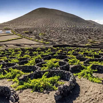 The vineyards of volcanic Lanzarote's La Geria region attract thirsty runners. Eloi_Omella / Getty Images