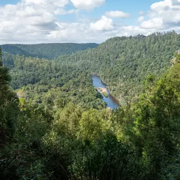 View from the Sumac lookout, looking down onto Arthur River in the Tarkine region of northwest Tasmania, Australia.