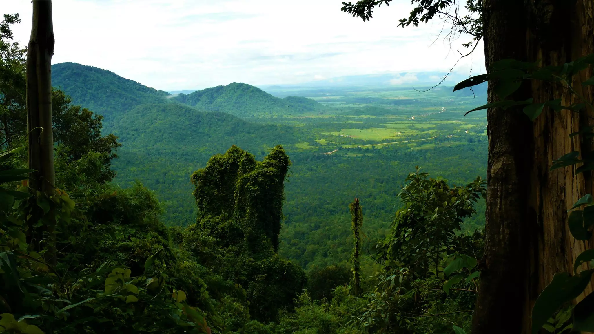 A lush green valley in Cambodia seen from a viewpoint above; hills rise on the left.