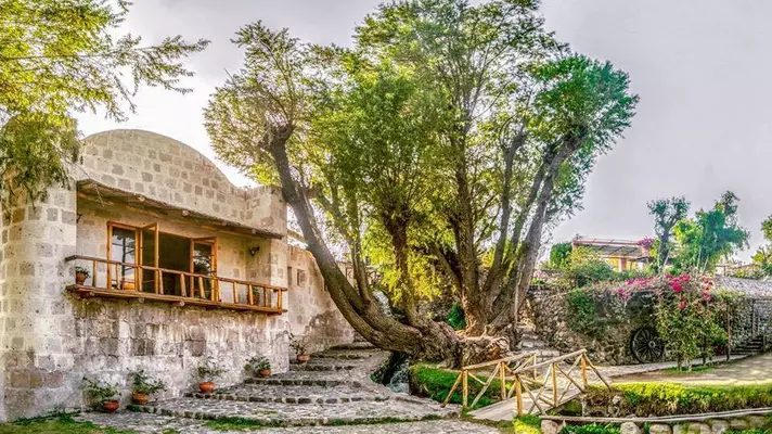 Stone stairs between a tree and a stone building.