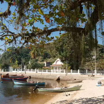 Small wooden fishing boats on calm water by a sandy shore, a sprawling tree over a white-fenced street and house