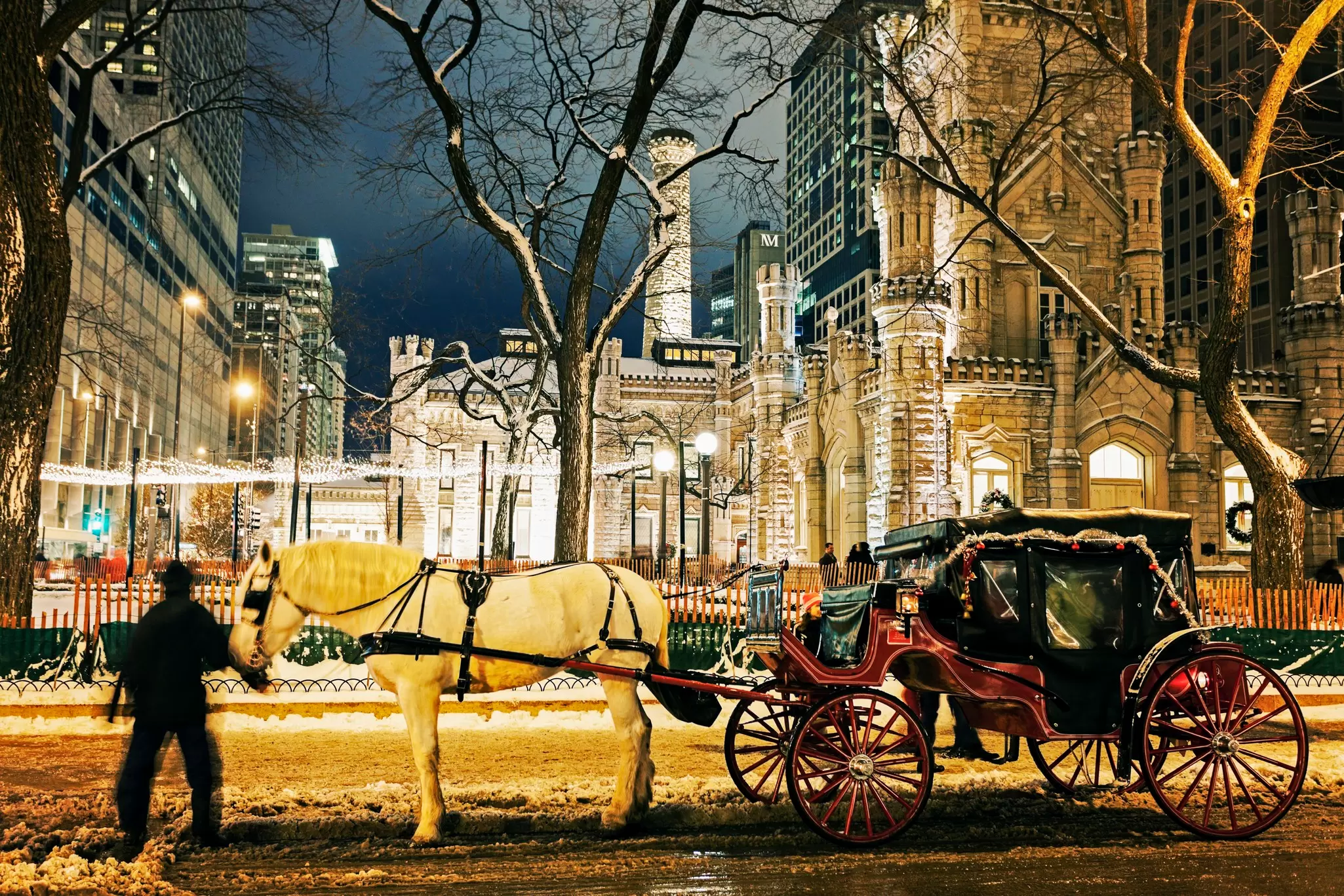 Horse carriage and Water Tower in Chicago