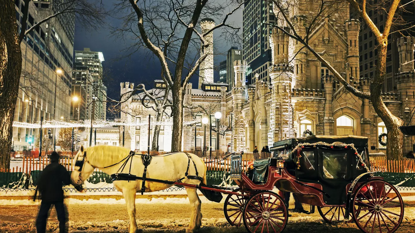 Winter in Chicago - horse carriage in front of Water Tower in Chicago. Chicago, Illinois, USA.
person, carriage, transportation, horse cart, city, urban, building, horse