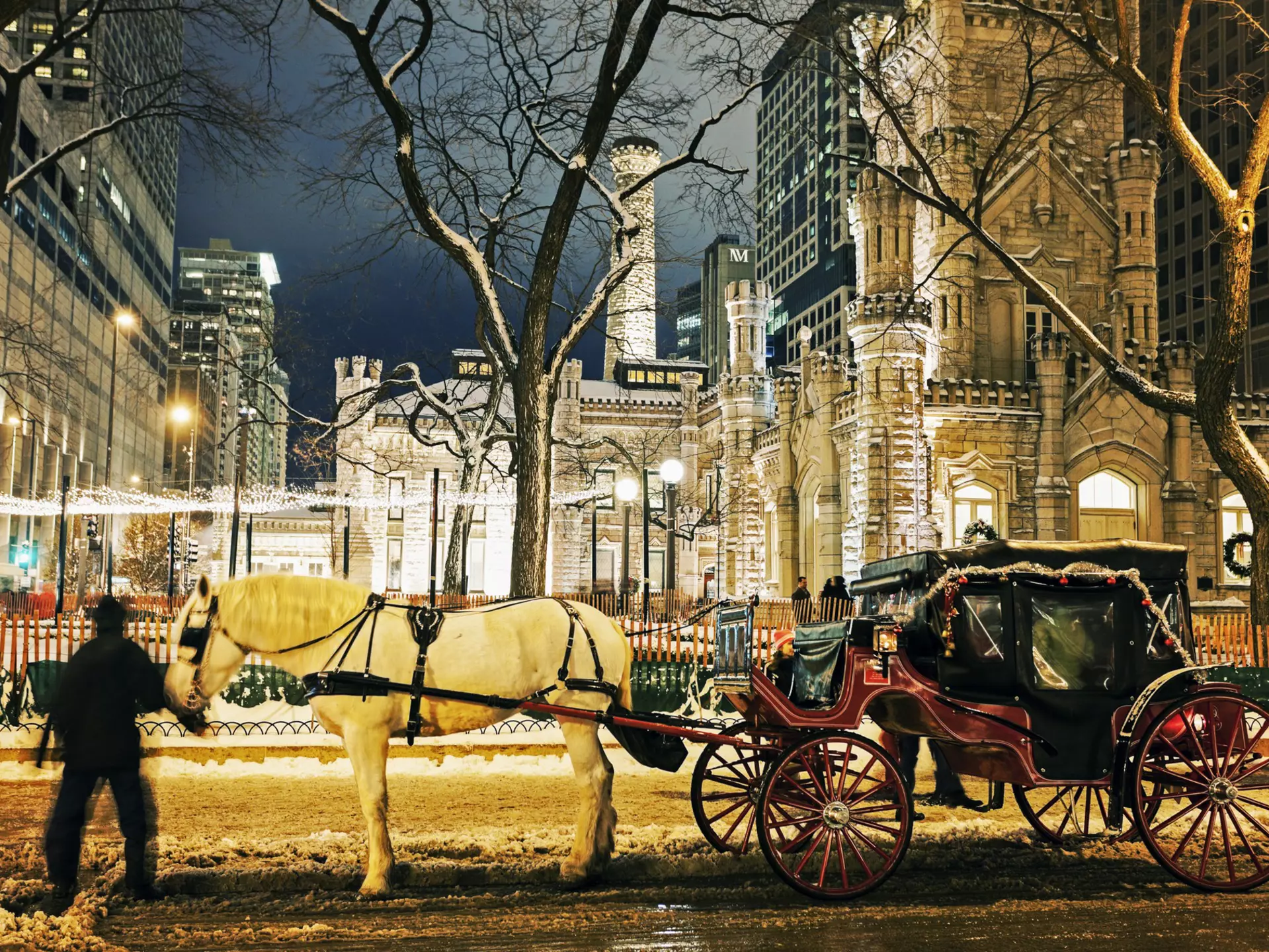 Winter in Chicago - horse carriage in front of Water Tower in Chicago. Chicago, Illinois, USA.
person, carriage, transportation, horse cart, city, urban, building, horse