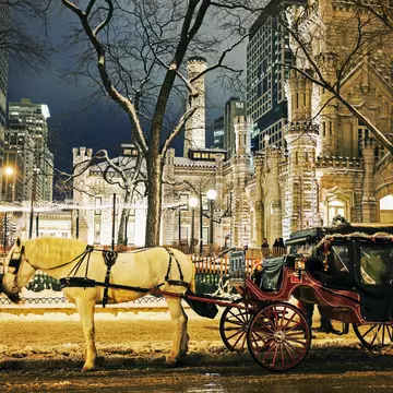 Winter in Chicago - horse carriage in front of Water Tower in Chicago. Chicago, Illinois, USA.
person, carriage, transportation, horse cart, city, urban, building, horse