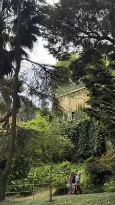 Chamidae in Lisbon: Botanical Gardens