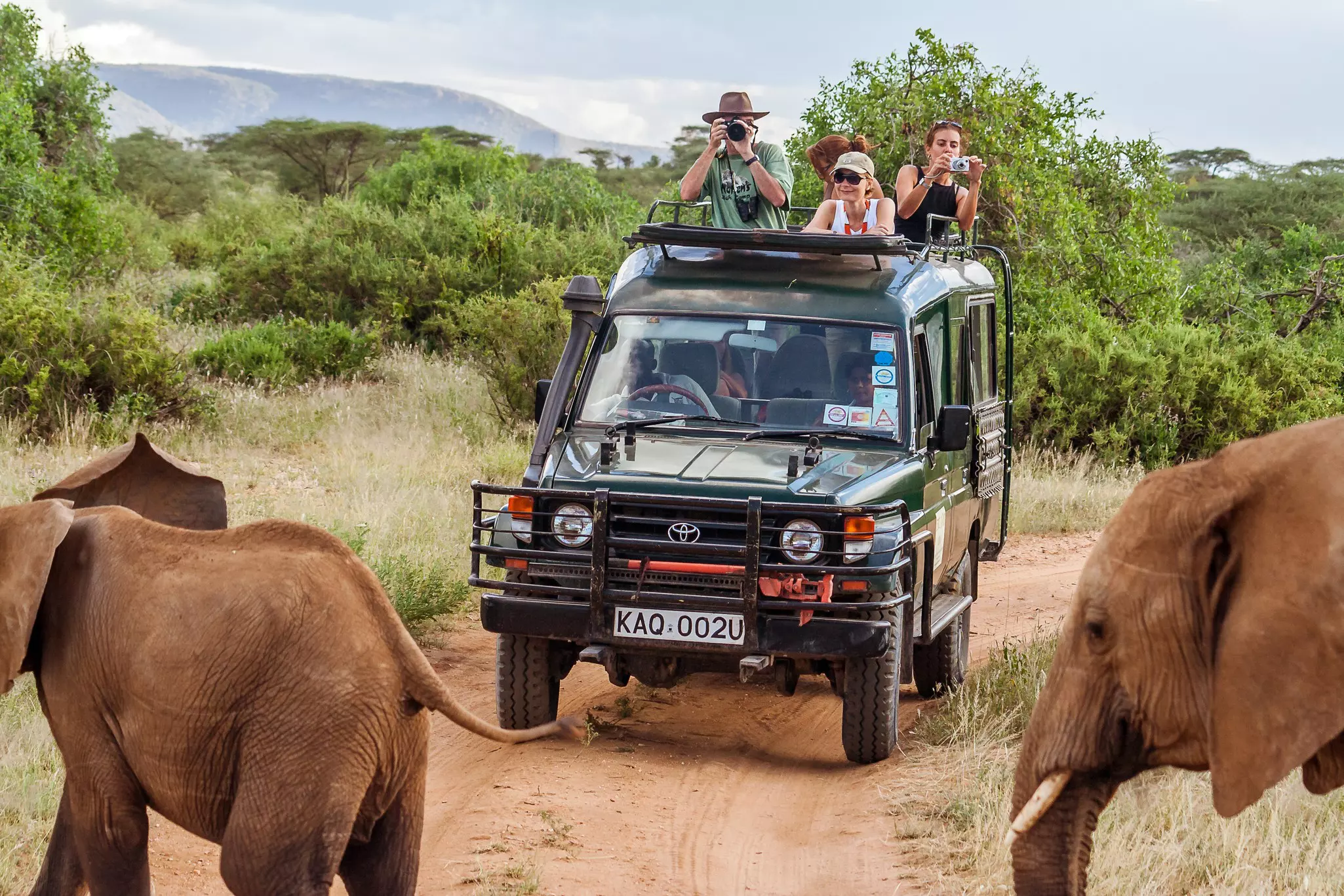 Getting very close to elephants in the Masai Mara, Kenya © pierivb / Getty Images