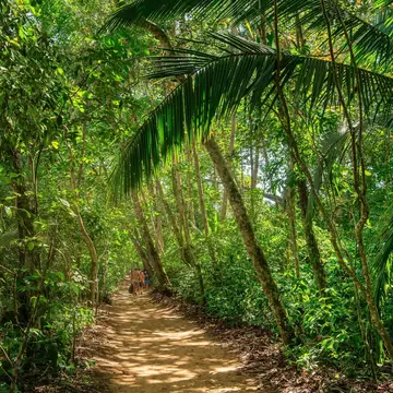 Group of tourists walking along a trail in Cahuita National Park, Costa Rica.