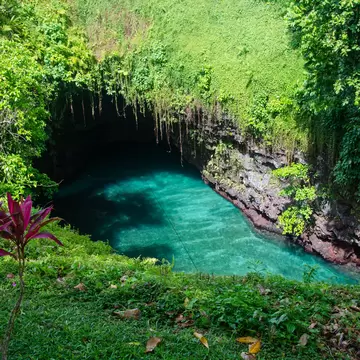 A deep turquoise pool at the bottom of a vine-hung volcanic sinkhole, a long wooden ladder descending to it from the rim.
