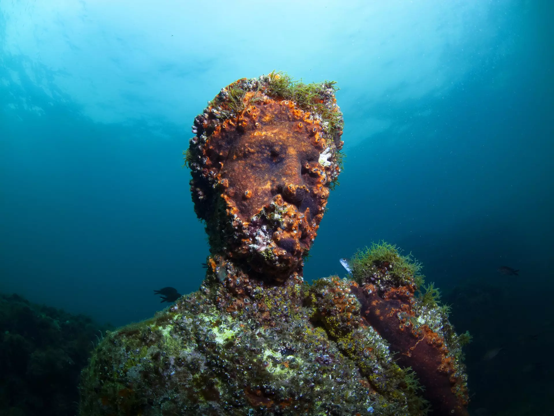 Submerged roman statue. Underwater ancient Roman ruins. Baia (Baiae), Campi Flegrei (Phlegraean Fields), Naples, Campania, Italy
1160388540
