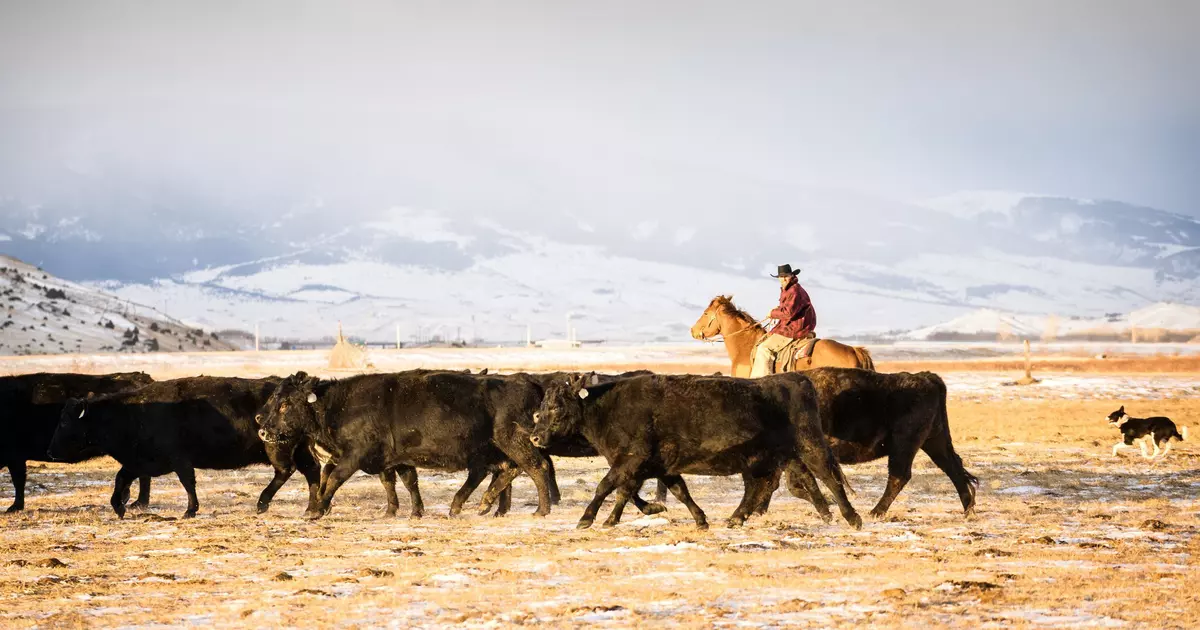 8 reasons why Livingston, Montana, is the best base for Yellowstone
