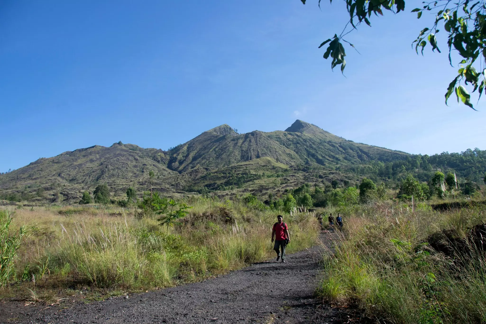 Unleash your inner Tarzan at Bali Tree Top © Bali Tree Top