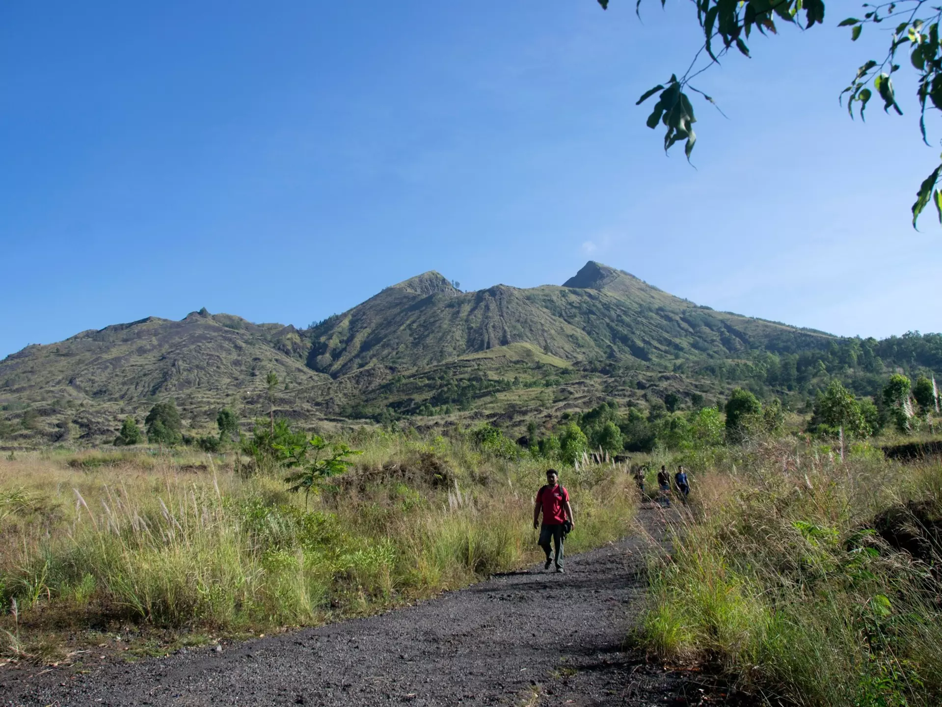 Unleash your inner Tarzan at Bali Tree Top © Bali Tree Top
