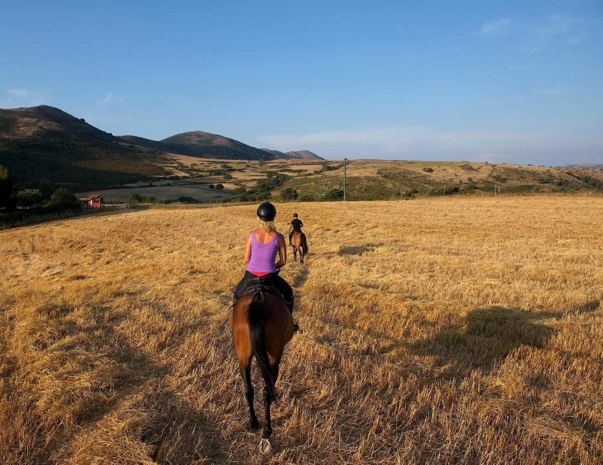 Sardinia is also famous for its horses © Renata Apanaviciene / Shutterstock