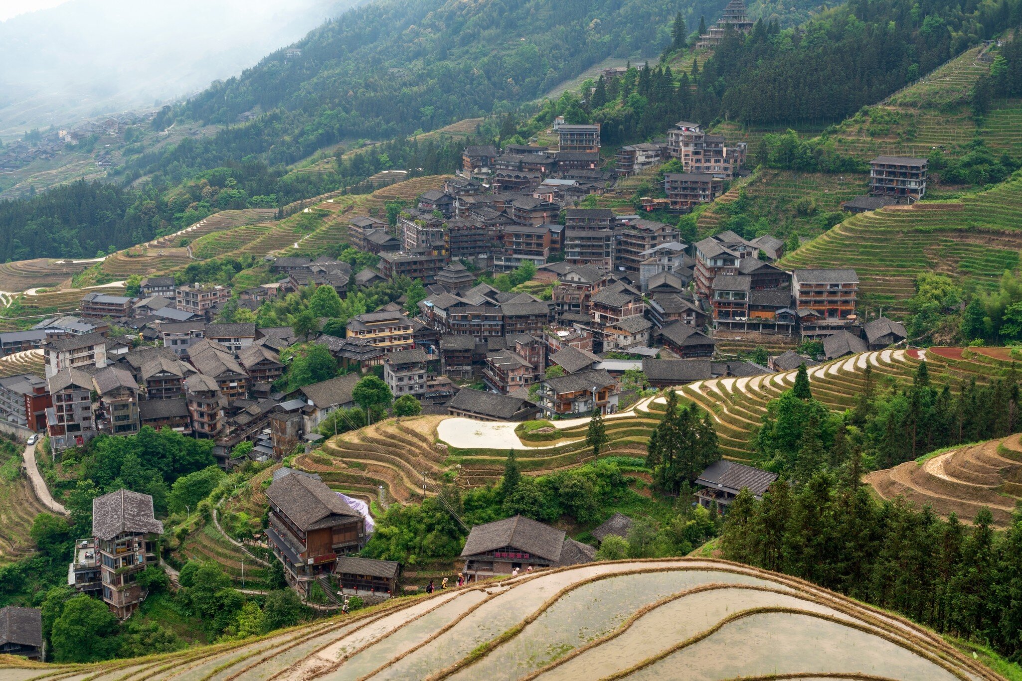 Rice Terraces and Ping'an Village from the Nine Dragons and Five Tigers Viewing Point at the Longji Rice Terraces Scenic Area on a sunny day, Longsheng County, Guilin, Guangxi Zhuang Autonomous Region, China, License Type: media, Download Time: 2026-09-02T15:50:23.000Z, User: LP_NZhan, Editorial: false, purchase_order: 65050 - Digital Destinations and Articles, job: App Content, client: Lonely Planet App, other: Nadine Zhan