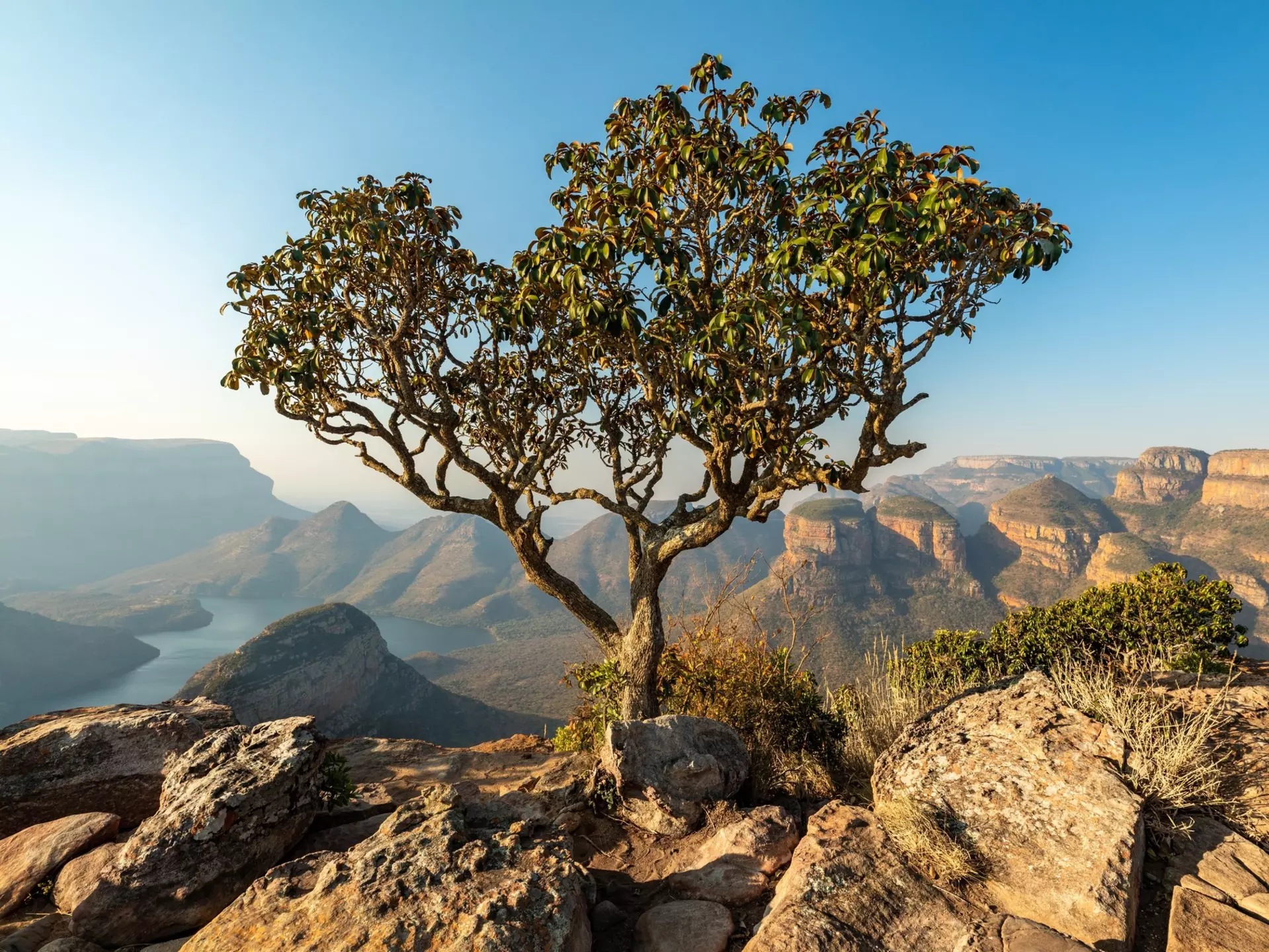 Blyde River Canyon. Gunter Nuyts/Shutterstock