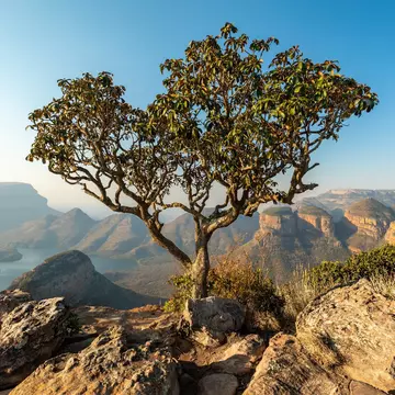 Blyde River Canyon. Gunter Nuyts/Shutterstock