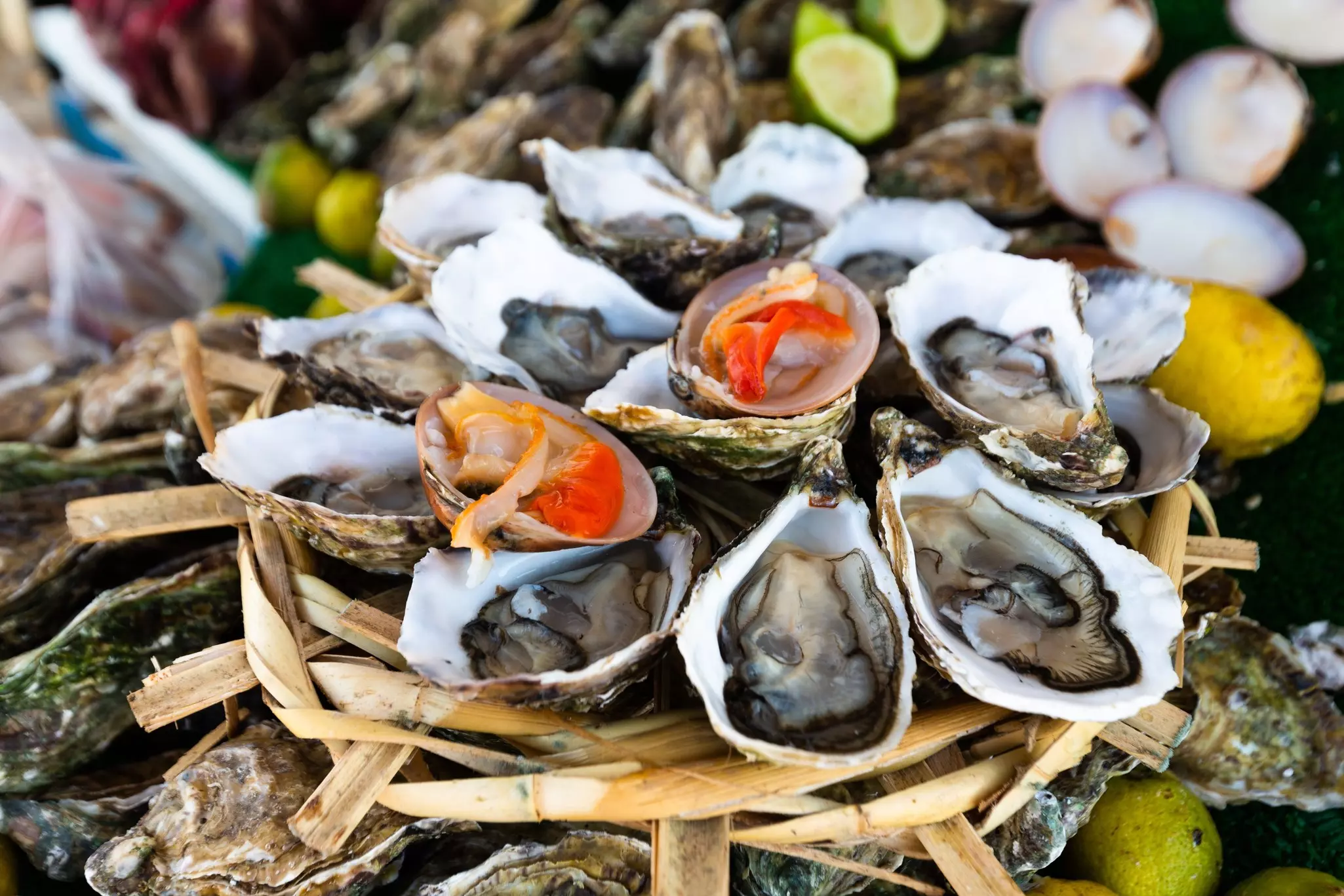 Oysters and mussels in a small seafood store in Morocco